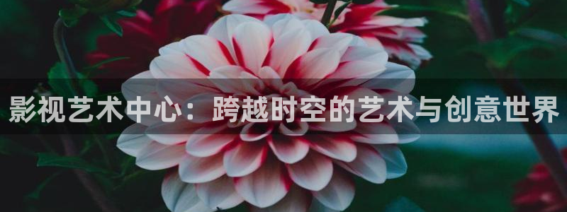 龙猫下载电影天堂