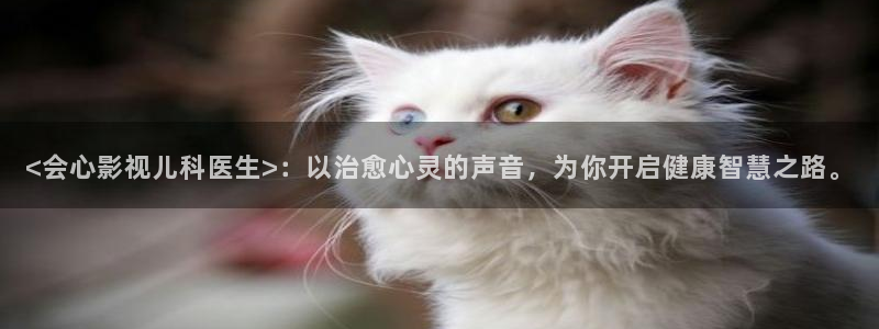 电影天堂bd